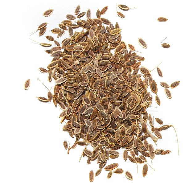 Epice du Cru - Spice Trekker Dill Seed 45g