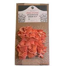 Circular Harvest Mushroom Grow Kit Pink Oyster