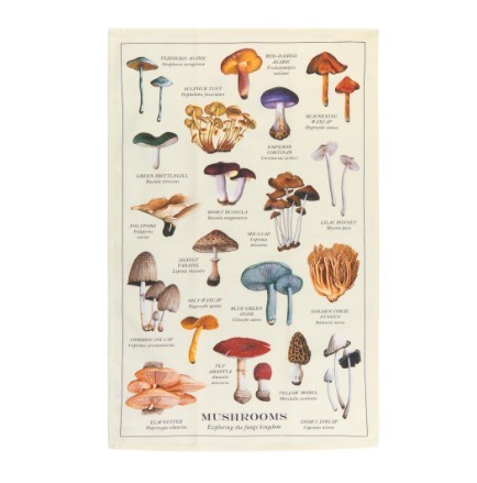 Now Designs Dishtowel - Mushrooms