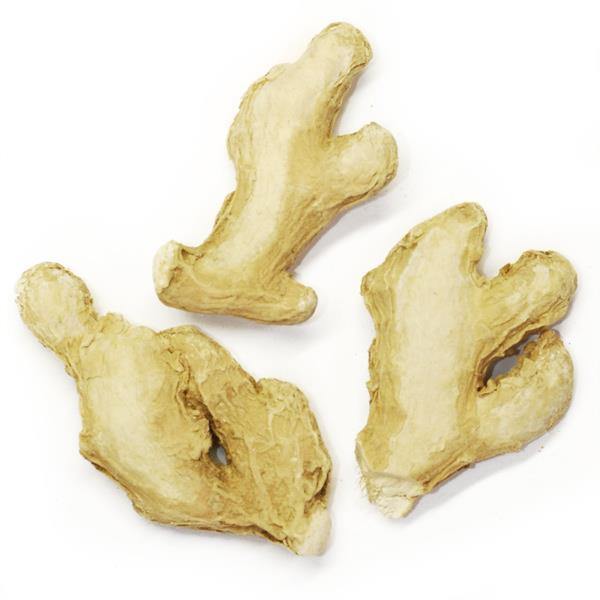 Epice du Cru-Spice Trekkers Ginger 40g - Kitchenalia Westboro