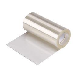 Artigee Acetate Cake Collar 8cm x L10m - Kitchenalia Westboro