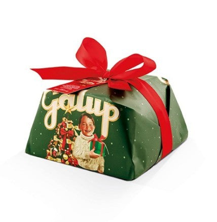 Galup Panettone - Traditional Christmas Bear