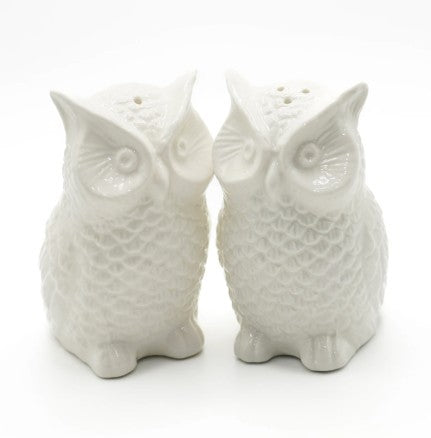 Fox Run Salt & Pepper Shakers - Owls