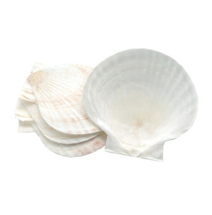 Nantucket Seafood Baking Shells