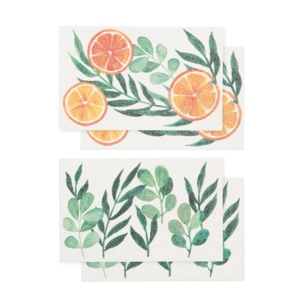 Now Designs Pop Up Sponge - Cedar & Citrus
