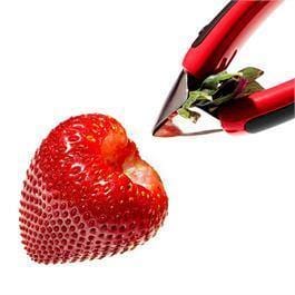 OXO Good Grips Strawberry Huller - Kitchenalia Westboro
